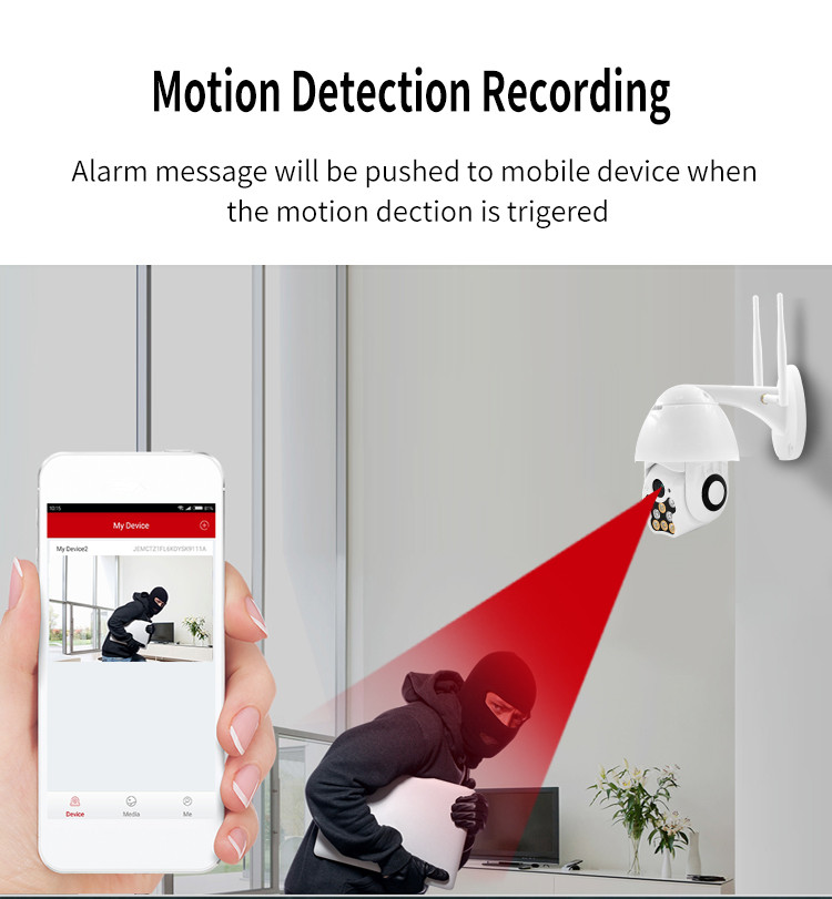 Motion Detection Recording